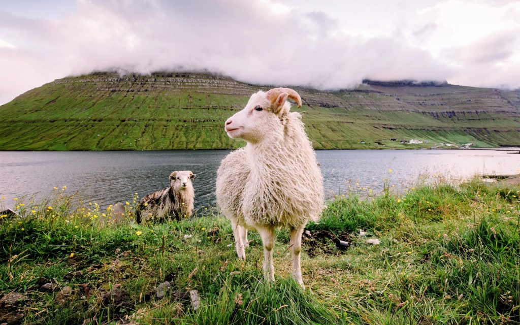 Faroe Islands